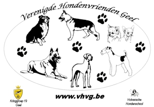 VHVG